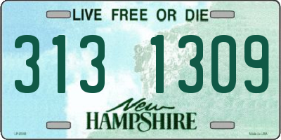 NH license plate 3131309