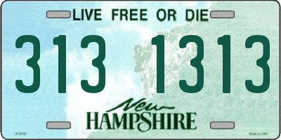 NH license plate 3131313