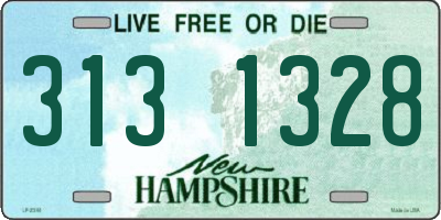 NH license plate 3131328