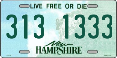 NH license plate 3131333