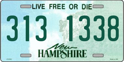 NH license plate 3131338