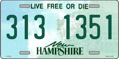 NH license plate 3131351