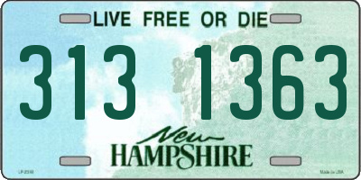 NH license plate 3131363
