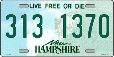NH license plate 3131370