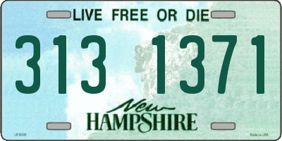 NH license plate 3131371