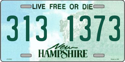 NH license plate 3131373