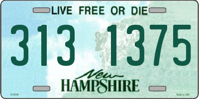 NH license plate 3131375