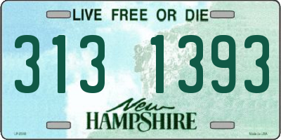 NH license plate 3131393