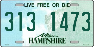 NH license plate 3131473