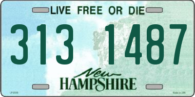 NH license plate 3131487