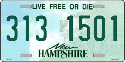 NH license plate 3131501