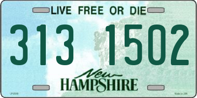 NH license plate 3131502