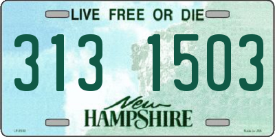 NH license plate 3131503