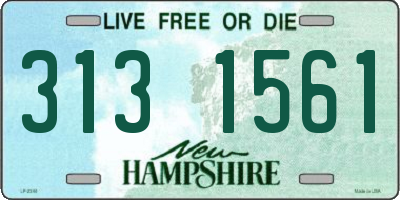 NH license plate 3131561