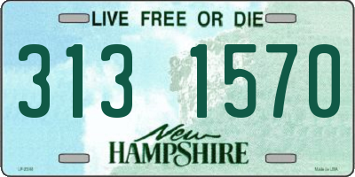 NH license plate 3131570