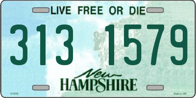 NH license plate 3131579