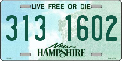 NH license plate 3131602