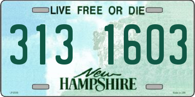 NH license plate 3131603