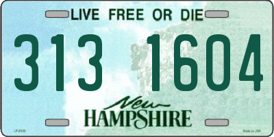 NH license plate 3131604