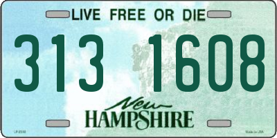 NH license plate 3131608