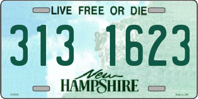 NH license plate 3131623