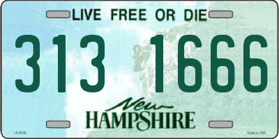NH license plate 3131666