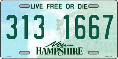 NH license plate 3131667