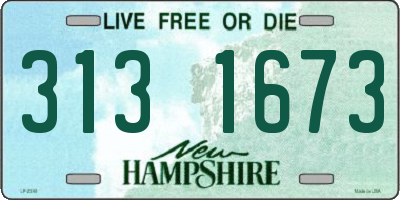 NH license plate 3131673