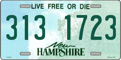 NH license plate 3131723