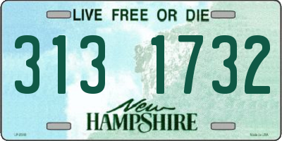 NH license plate 3131732
