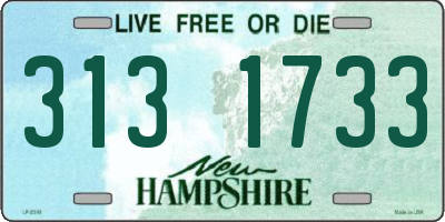 NH license plate 3131733