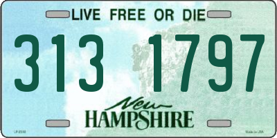 NH license plate 3131797