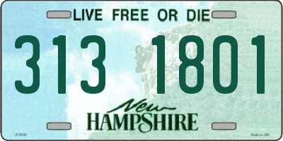 NH license plate 3131801