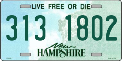 NH license plate 3131802