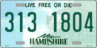 NH license plate 3131804
