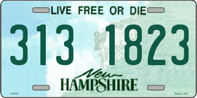 NH license plate 3131823