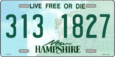 NH license plate 3131827