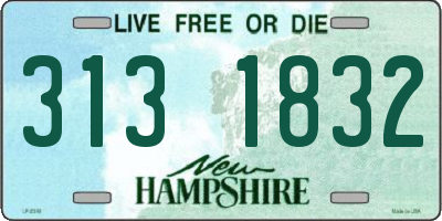 NH license plate 3131832