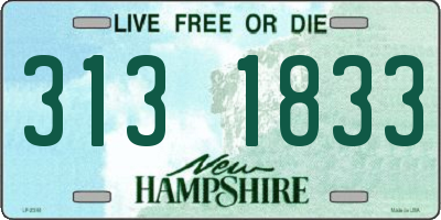 NH license plate 3131833