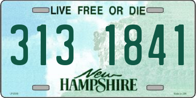 NH license plate 3131841