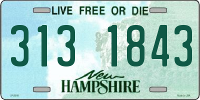 NH license plate 3131843