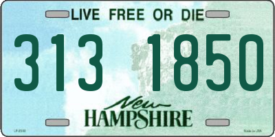 NH license plate 3131850