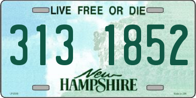 NH license plate 3131852