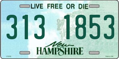 NH license plate 3131853