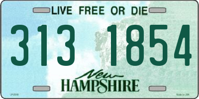NH license plate 3131854