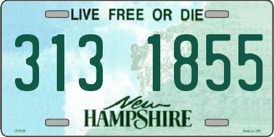 NH license plate 3131855