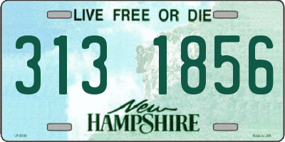 NH license plate 3131856