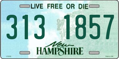 NH license plate 3131857