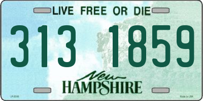 NH license plate 3131859