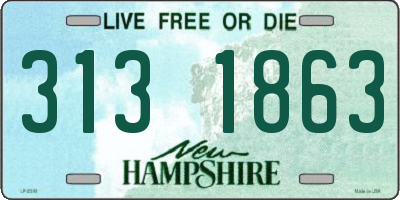 NH license plate 3131863